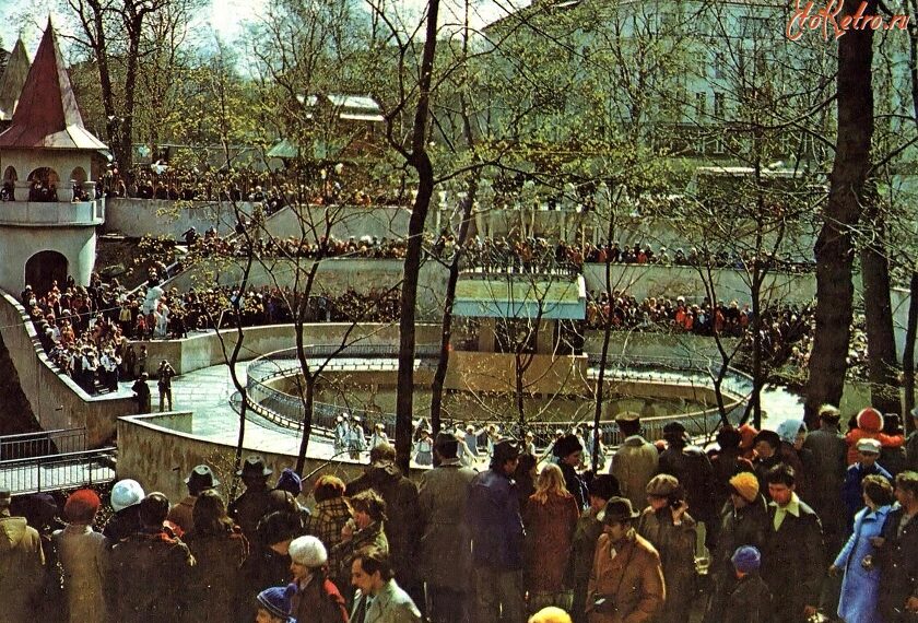 Наш Калининград