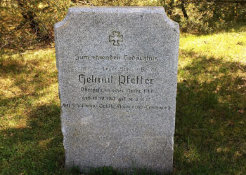 «Стало понятно, почему про Калининград говорят, что это „не совсем Россия“»