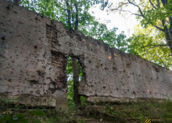 Алимпиева и К – за Хабаровск в Калининграде