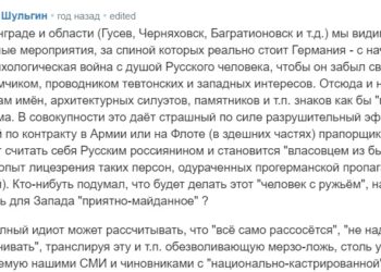 Важный комментарий Владимира Шульгина